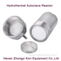 hydrothermal synthesis autoclave reactor 100ml